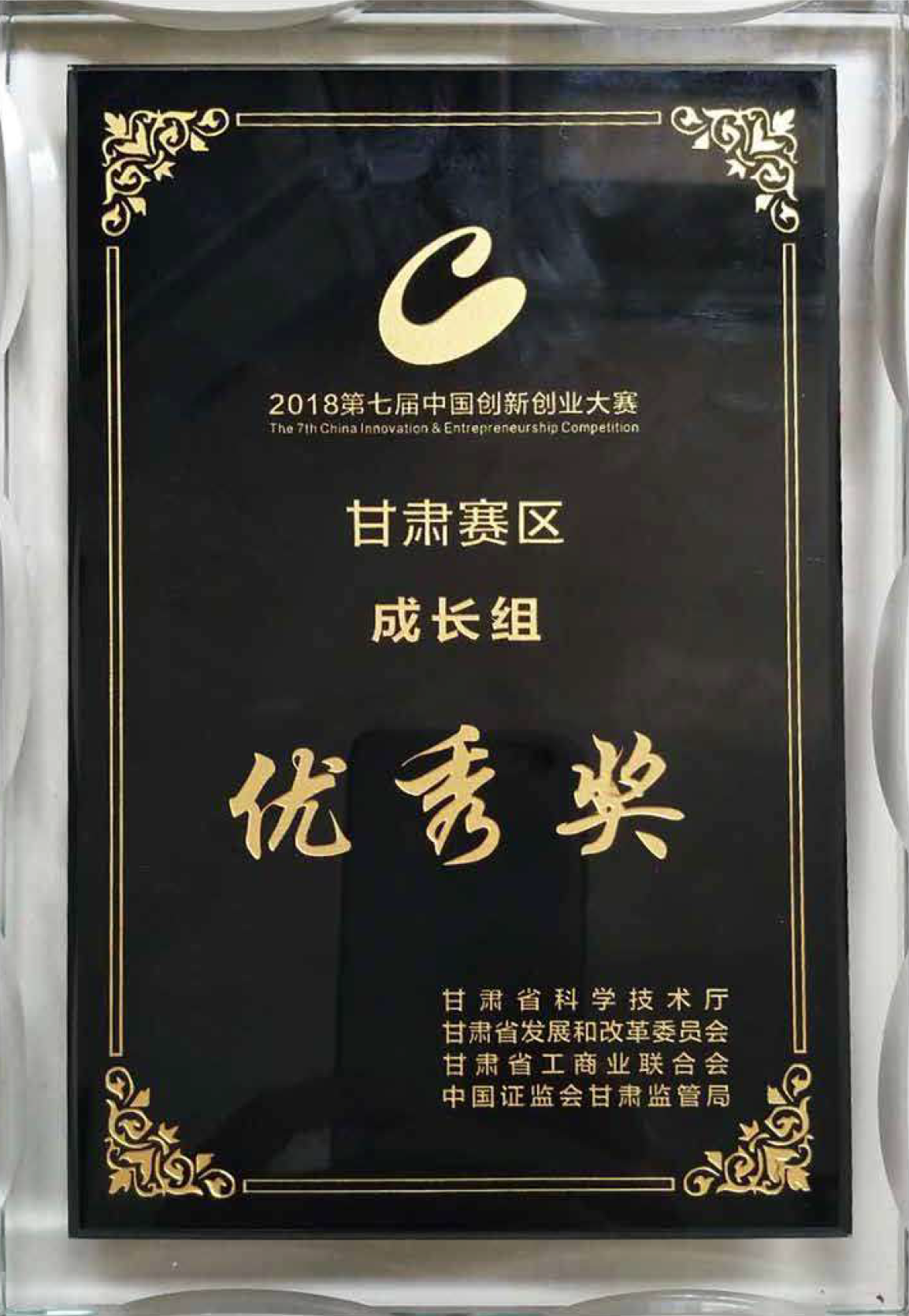 第七届中国创新创业大赛甘肃赛区成长组优秀奖